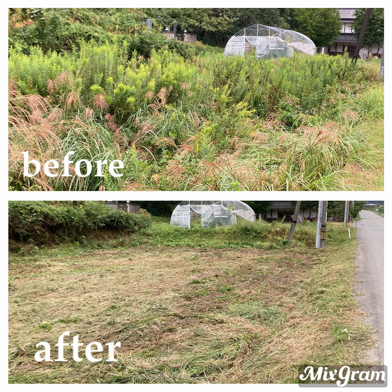 施工事例1 草刈り