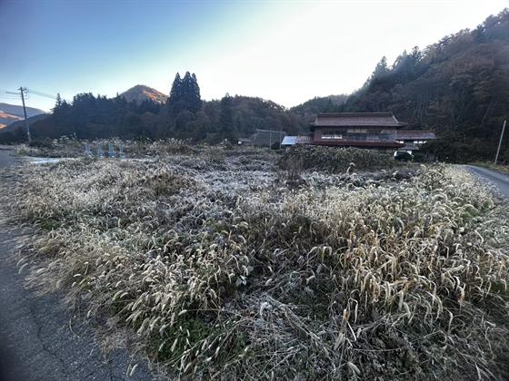 草刈り（機械作業）（庄原市）